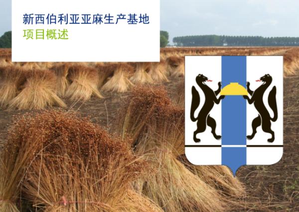 “新西伯利亚亚麻集群项目”寻找中国投资方