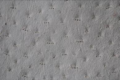 1611622466269039840.jpg 1611622466269039840.jpg