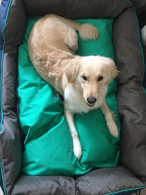 防水牛津布狗窝 防水牛津布狗窝