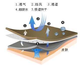 TPE无孔防水透湿膜面市