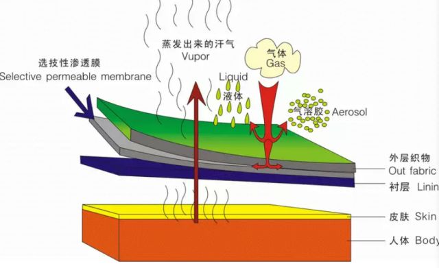 转移印花技术基础知识及应用方法大全